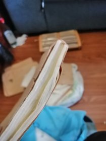 苦节图,全部手写,二百页左右