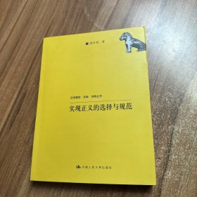 法学理念·实践·创新丛书：实现正义的选择与规范