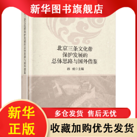 北京三条文化带保护发展的总体思路与国外借鉴 孙威 9787030596048 科学出版社
