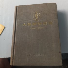 人体解部图谱