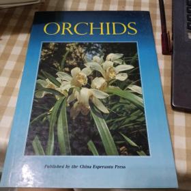 ORCHIDS—兰花