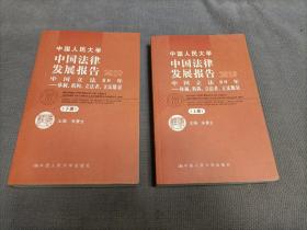 中国人民大学中国法律发展报告2010（上、下册合售）2011一版一印