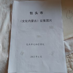 包头市《文化内蒙古》征集图片–包头市东河区（照片10张）