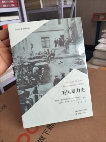 美国暴力史