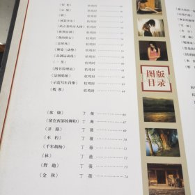 杭鸣时丁薇粉画作品集