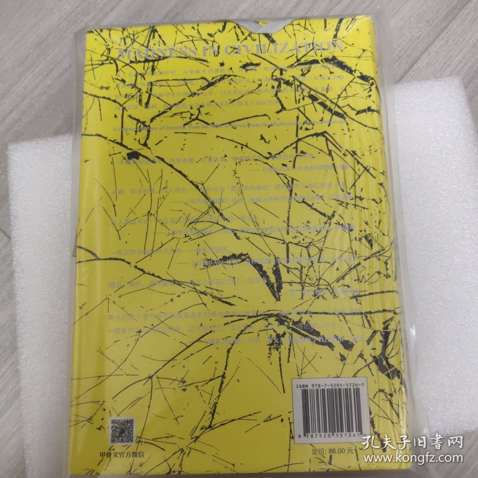 甲骨文丛书·文明中的疯癫：一部关于精神错乱的文化史