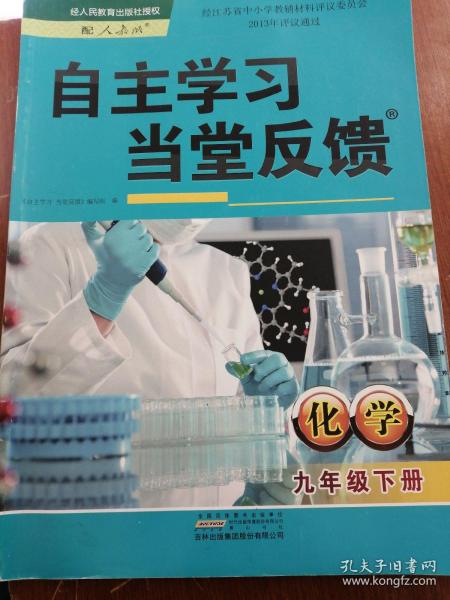 自主学习 当堂反馈 化学 九年级 下册