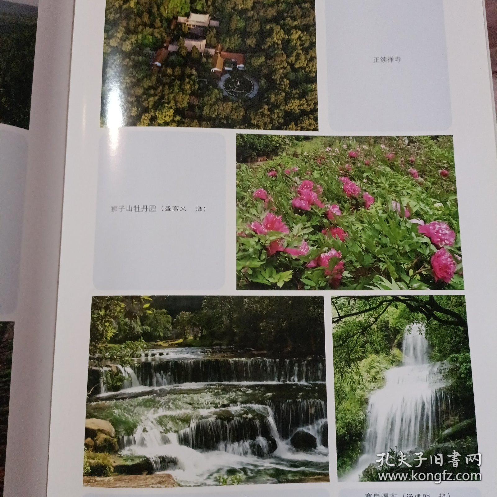 武定县地名志