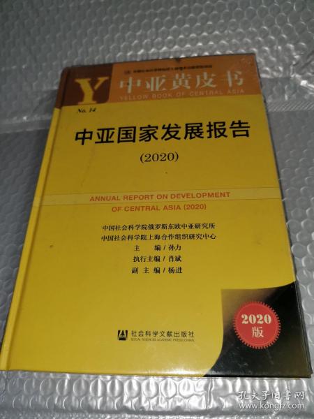 中亚黄皮书：中亚国家发展报告（2020）