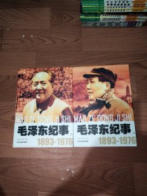 毛泽东纪事上下