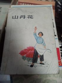 山丹花