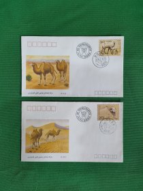 国家一级保护濒危珍稀野骆驼 首日封（2张合售）