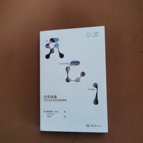 消费图像：当代文化中的风格策略