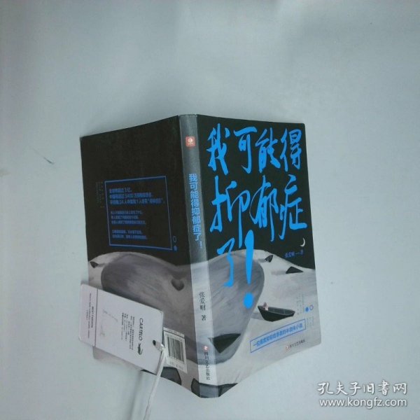我可能得抑郁症了  张爱财 四川文艺出版社