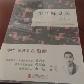 少年陈景润
