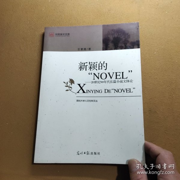 新颖的“NOVEL“：20世纪90年度长篇小说文体论