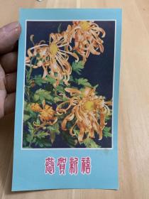 60年代菊花，河北人美，贺卡，未使用