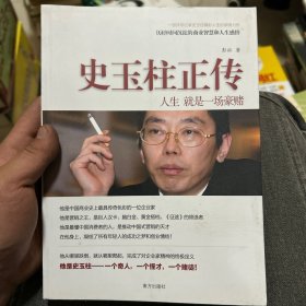 史玉柱正传：人生 就是一场豪赌