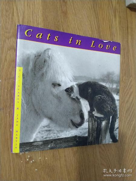 CATS IN LOVE  猫之爱