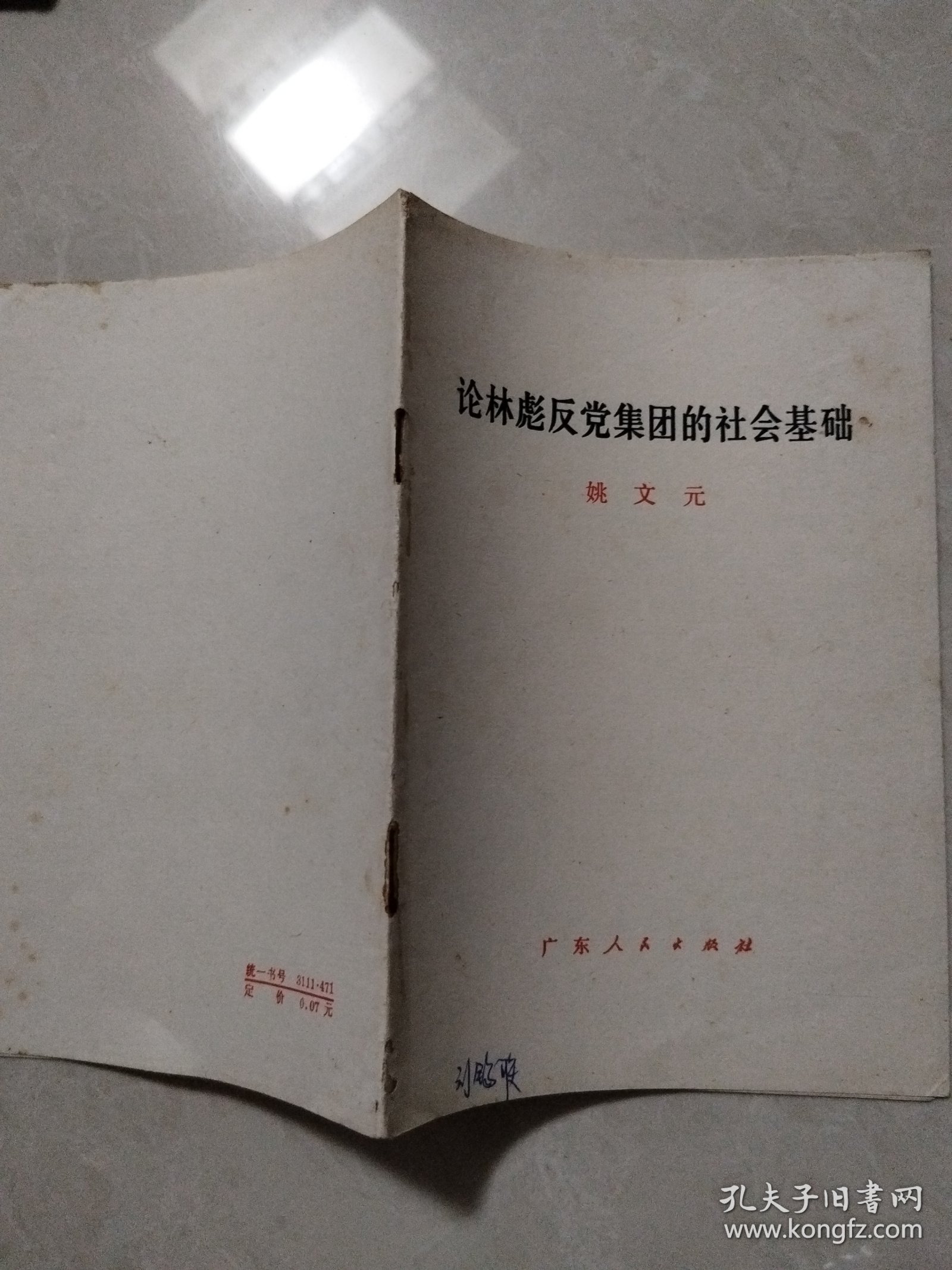 论林彪反党集团的社会基础