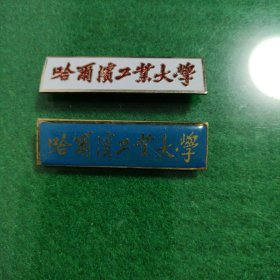 哈尔滨工业大学校徽一对（国防七子之一）