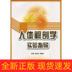 人體解剖學(xué)實(shí)驗(yàn)指導(dǎo)