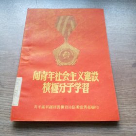 向青年社会主义建设积极分子学习