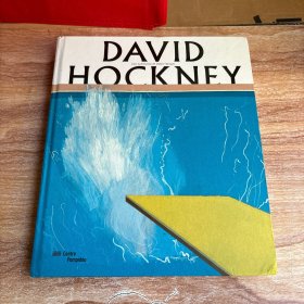 DAVID HOCKNEY（书名以图片为准）