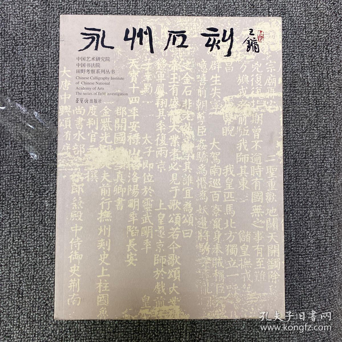 中国书法院田野考察系列丛书：永州石刻 王镛