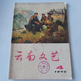 19758816《云南文艺》图书如图，16开，共88页。