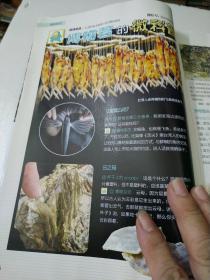 博物2022年06月号
