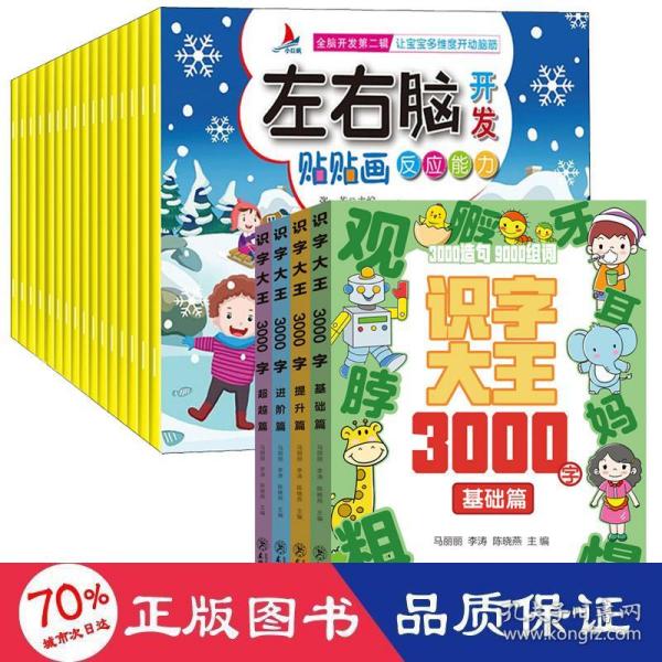 识字大王3000字(全4册)