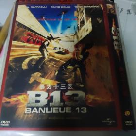 《暴力十三区》DVD
