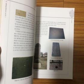 百济武宁王陵研究（中国韩国文物展）武宁王陵出土文物探析（周裕兴）百济武宁王墓志的文化源流及其相关问题（华国荣）南京出土的孙吴人面瓦当及其对朝鲜半岛的影响（王志高）