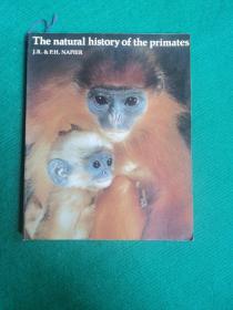 The natural history of the primates