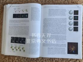 Molecular Biology of the Cell 英文原版 细胞的分子生物学 Bruce，Alberts