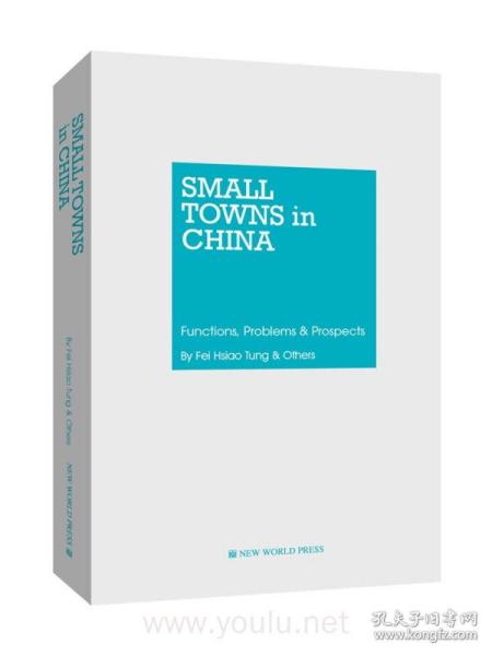 中国的小城镇：功能·问题·展望（英文版）