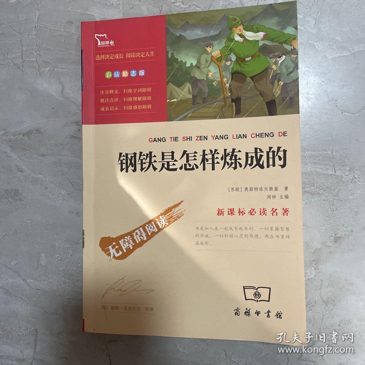 钢铁是怎样炼成的