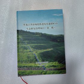 黑龙江省市场化推进历史遗留矿山生态修复治理项目(第一批)