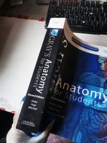 Grays Anatomy For Students GRAYS Anatomy