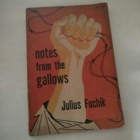 notes from the gallows 《绞刑架下的报告》，32开