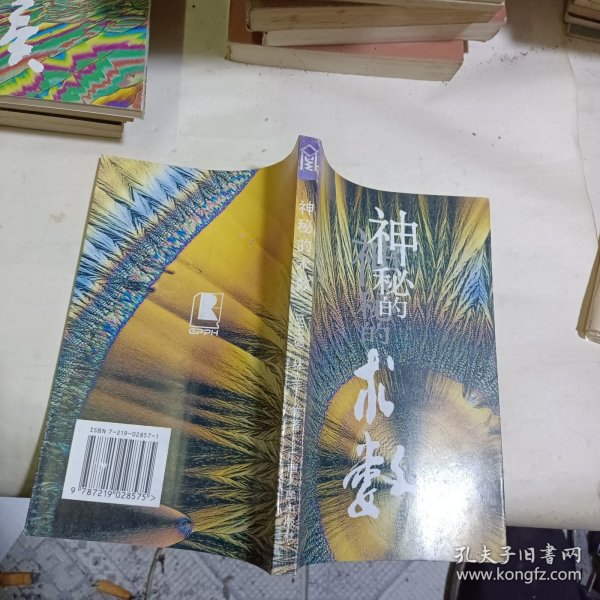 神秘的术数：中国算命术研究与批判