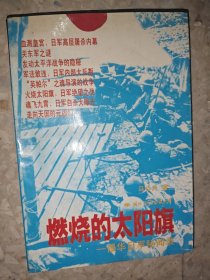 燃燒的太陽旗:侵華日軍秘聞錄