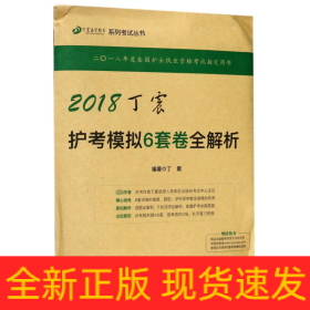 2018丁震护考模拟6套卷全解析/丁震医学教育系列考试丛书