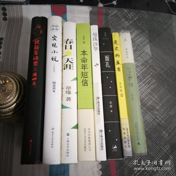 发现小说：文学随笔