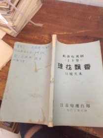 戏曲电视剧（上下集） 琼花飘香 分镜头本