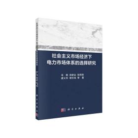 社会主义市场经济下电力市场体系的选择研究