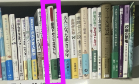 价可议 全册 亦可散售 矢岛 稔 昆虫记 树液 昆虫 昆虫文献 六本脚 59wxhwxh 矢島 稔　わたしの昆虫記 樹液をめぐる昆虫たち