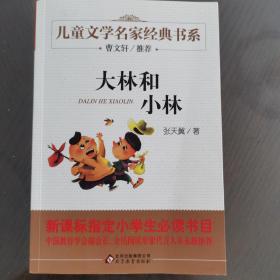 曹文轩推荐儿童文学经典书系 大林和小林