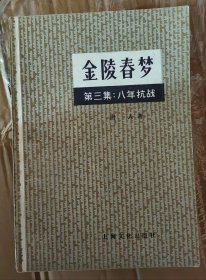 金陵春梦第三集八年抗战